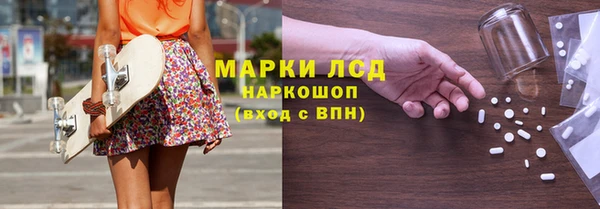 СК Волоколамск