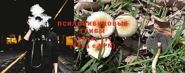 соль ск Абдулино