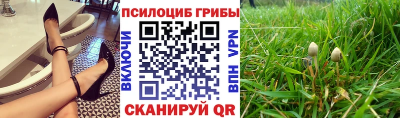 закладки  сайты даркнета как зайти  Псилоцибиновые грибы Magic Shrooms  Северодвинск 