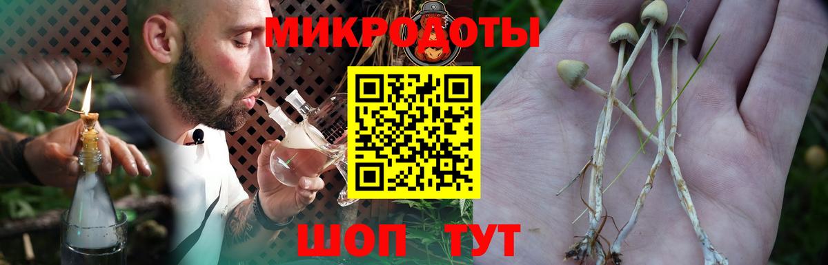Галлюциногенные грибы ЛСД  Псилоцибиновые грибы Magic Shrooms  Северодвинск  Вход с VPN 